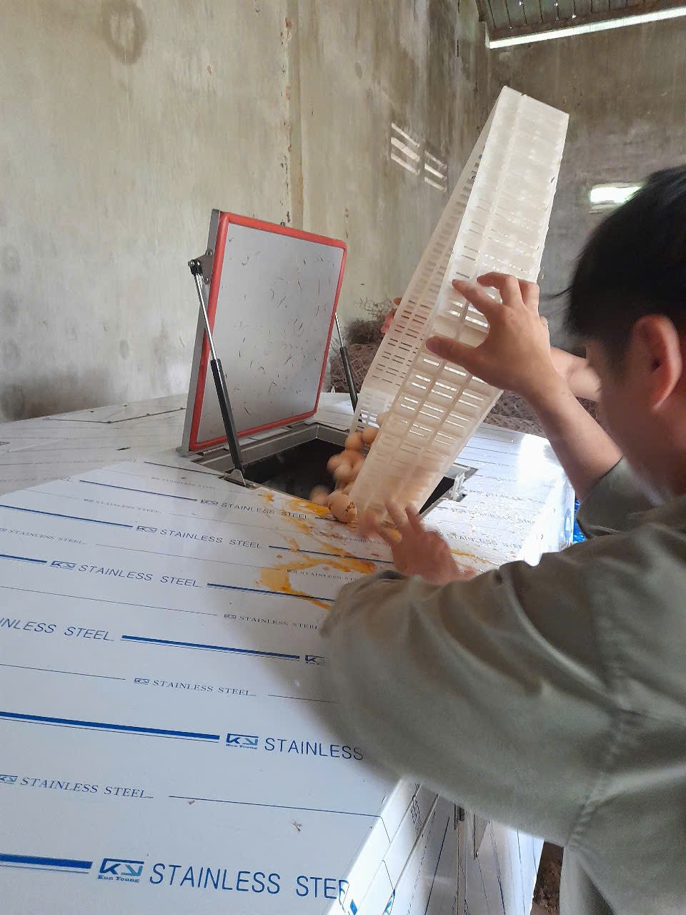 Hướng Dẫn Cách Dùng Máy Nghiền Xác Heo An Toàn, Hiệu Quả Trong Chăn Nuôi